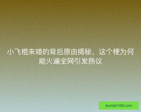 小飞棍来喽的背后原由揭秘，这个梗为何能火遍全网引发热议