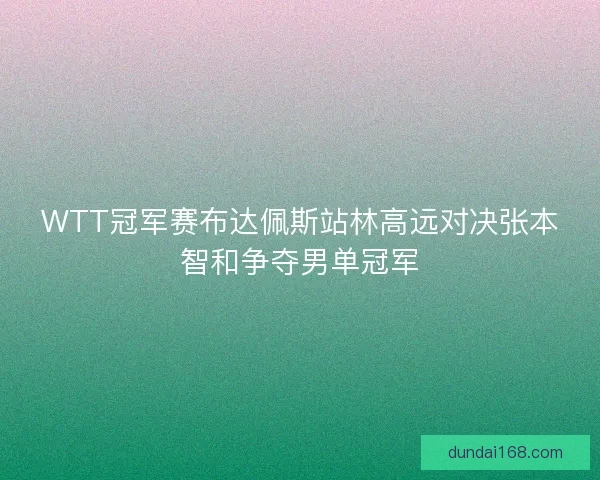 WTT冠军赛布达佩斯站林高远对决张本智和争夺男单冠军